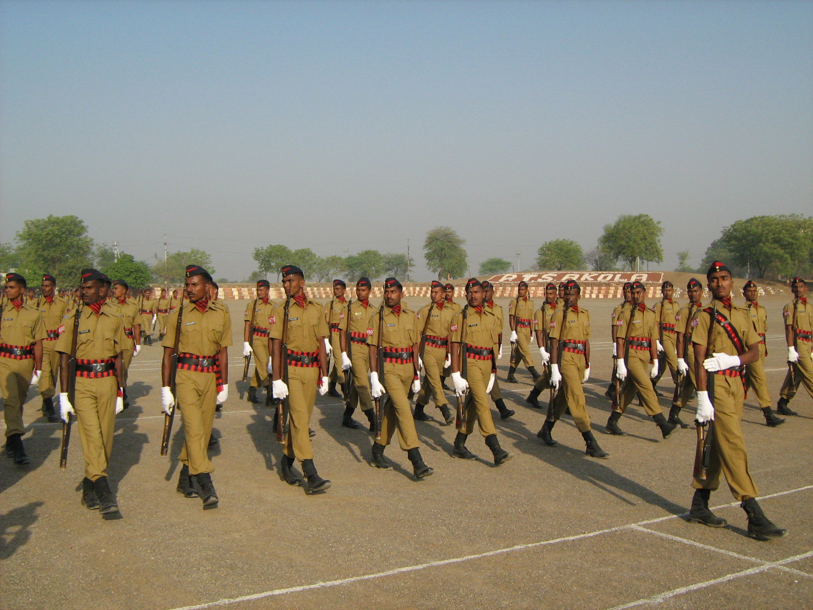 PTC Image Gallery